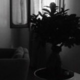 Dott.ssa Ivana Marchesin